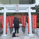 신토보리 세계일보