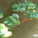 우드힐펜션 이미지