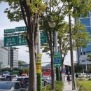 선진화훼유통 이미지