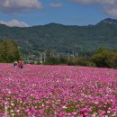 가조온천 이미지