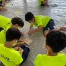 리틀태권도장 이미지