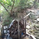 관악산 무장애숲길 이미지