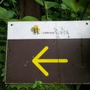 화순해안로 이미지