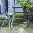 대구 EXCO 출장 호텔 호텔피에드엑스코 디럭스룸 2박 후기 주차 조식