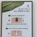 일신초등학교 건너편 래미안아파트 앞 | 올가드림뷰티 장전래미안점 두피 디톡스 찐후기! (B&amp;A 사진 있음) 부산피부관리샵 장전동피부관리