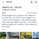 [반려견 마당대여]오프리쉬 가능한 포동 멍래블