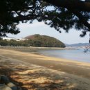 오리정민박 이미지