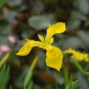 강골농장 이미지