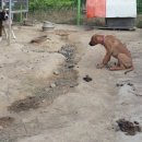 시커먼스 이미지