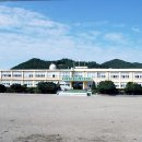 불갑초등학교 이미지