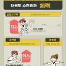 경희대 멘토 태권도장 이미지