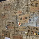 싱싱해물탕;세꼬시 | 망원동 골목의 보석 같은 곳, 망원동 맛집 횟집 ‘마포밤바다’ 리얼 후기!