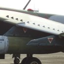 작은날개2 이미지