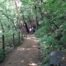 대원사계곡 이미지