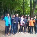 나무야 나무야 이미지