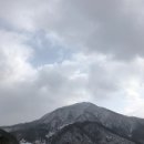 왕눈이PC | 2월의 일상 (2) 🕊️🤍