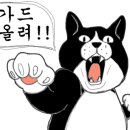 두툼왕돈까스 네이버블로그