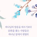 변명의 여지가 없습니다 이미지