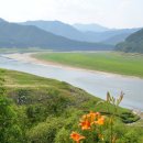 자작나무길펜션 이미지