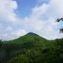 큰봉(489m) 깃대봉 (450m △보은423 ) 염통산(447m) 원산(377m) 깃대봉(450m △보은420 )/ 충북 보은