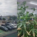 쌍용부분정비 이미지