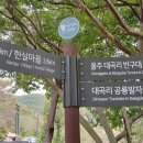 울주 대곡리 반구대 암각화 이미지