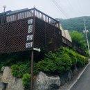 비올레띠 이미지