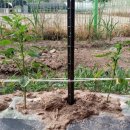 모악농장 이미지