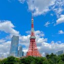 전망대 | 도쿄 야경 시부야 스카이 전망대 후기! 인생 사진 스팟