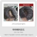 마야헤어모드 이미지