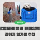 M시티 | 강아지 이동가방 컴피라비올리 텐마일백 앞가방 시티블루 M사이즈 후기