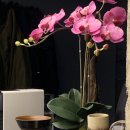 종오농장 | [가로수길/맛집] 무아(mooaa)