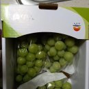 차칸농부