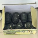 제타 | 롯데마트 제타 새벽배송 후기 제타 장보기앱으로 신선식품배달