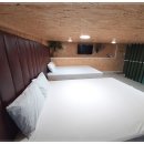 돌고래게임장 이미지