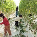 김정기농장 이미지