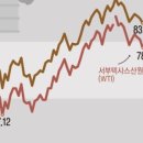 유가향 이미지