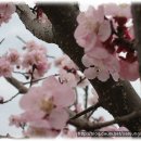 하늘가득 이미지