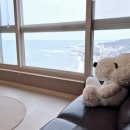 강동해변펜션 이미지