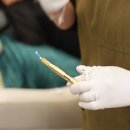 디자인올레