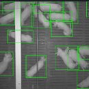 동일축산 이미지