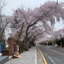 베리유 | [경남 통영] 봉수골 카페 베리유 내돈내산 솔직후기