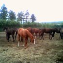 대천목장 이미지