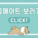 댕고카 이미지