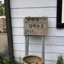 장미와김목수