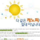 야외 행사 필수템 캐노피 천막 현명하게 구매,대여하기 이미지