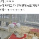 우리화원 이미지