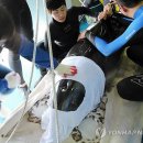 고래안마시술소 이미지