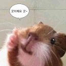 [서평] ㄴH 모든 순간은 모두 &#39;미디어&#39;를 통해 흘렀ㄷr...✩⡱