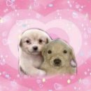 서부로1934번길 이미지